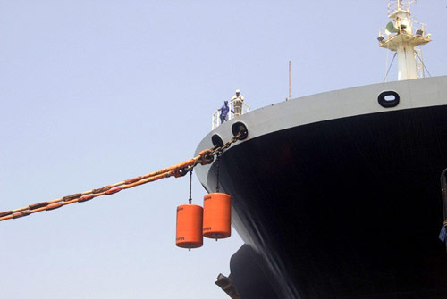 گزارش تصویری - 2