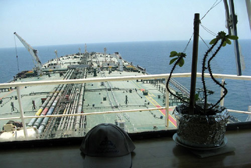 گزارش تصویری - 3