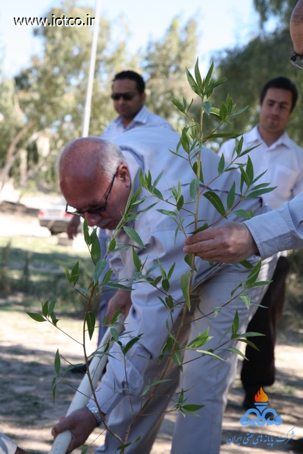 15 روز درختکاری پایانه نفتی خارگ 17