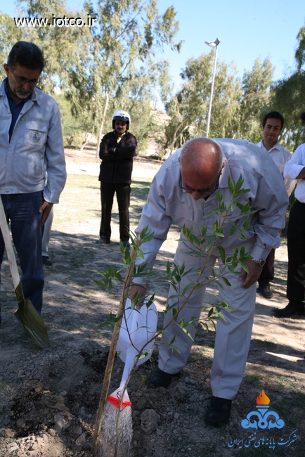 15 روز درختکاری پایانه نفتی خارگ 18