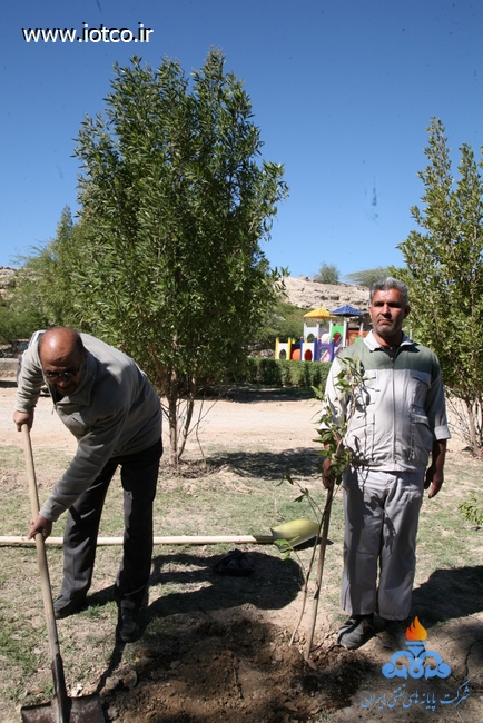 15 روز درختکاری پایانه نفتی خارگ 19