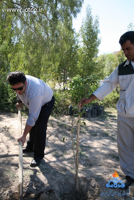 15 روز درختکاری پایانه نفتی خارگ 21