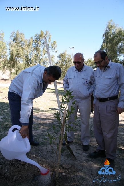 15 روز درختکاری پایانه نفتی خارگ 23