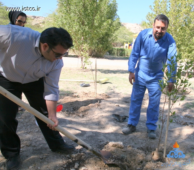 15 روز درختکاری پایانه نفتی خارگ 24