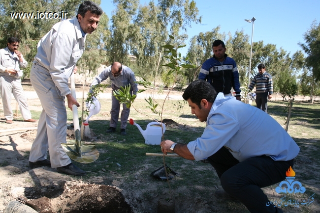 15 روز درختکاری پایانه نفتی خارگ 27