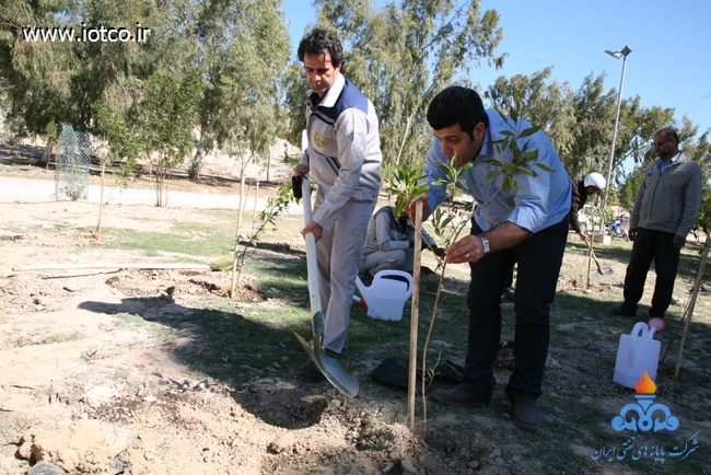 15 روز درختکاری پایانه نفتی خارگ 28