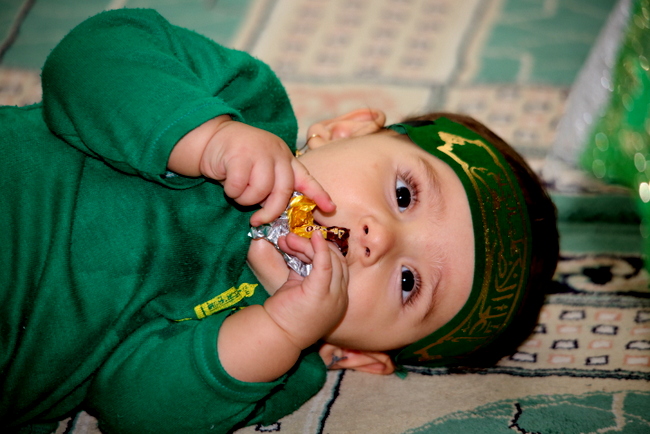 همایش شیر خوارگان حسینی  2