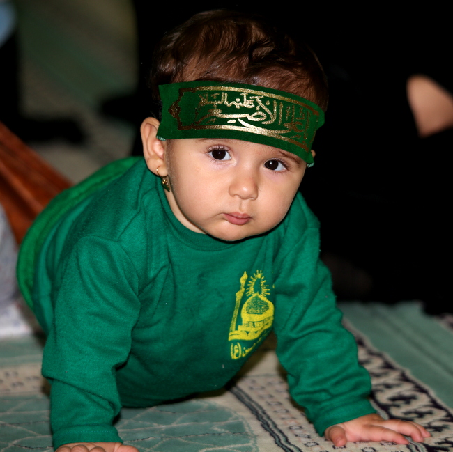 همایش شیر خوارگان حسینی  7