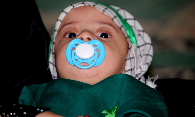 همایش شیر خوارگان حسینی  8