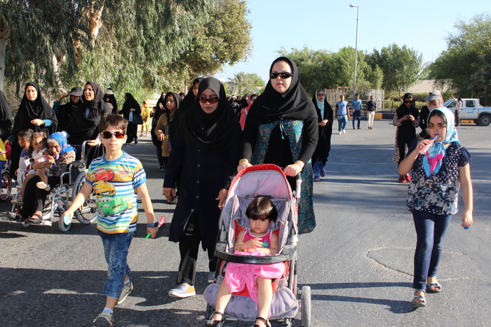 پیاده روی  11