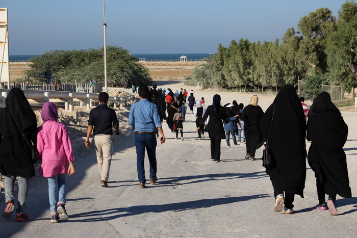 پیاده روی  17