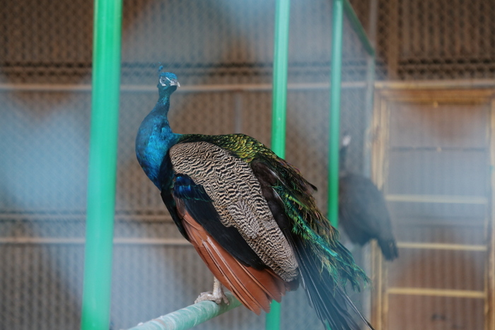 دانشجویان دانشگاه عالی دفاع ملی 37