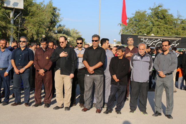 پیاده روی اربعین  15