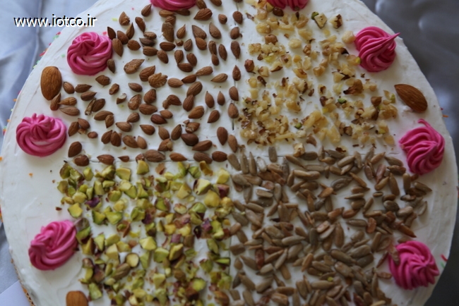 غذا و کیک 16