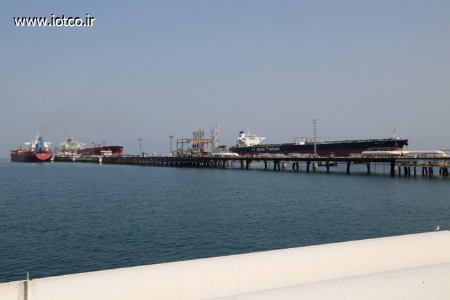 اسماعیل نجار 25