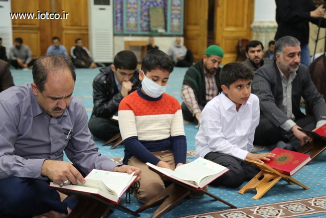 جشنواره قرانی 13