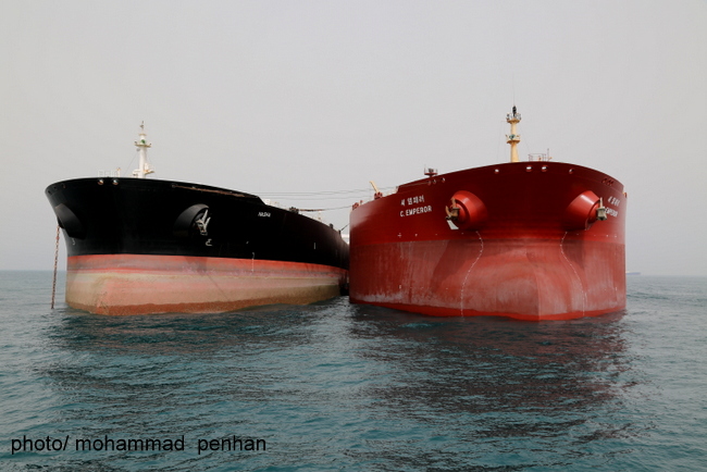 خبرنگاران رسانه های خارجی 39