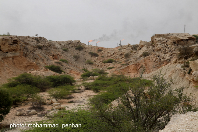 خبرنگاران رسانه های خارجی 47