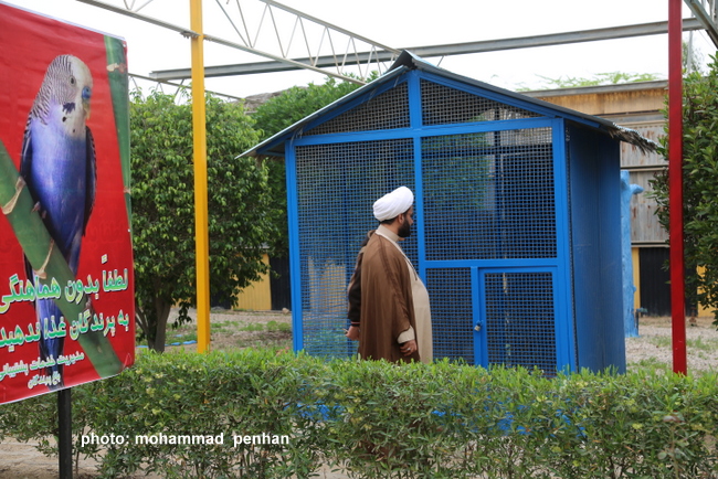 ستاد نوروزی96 6