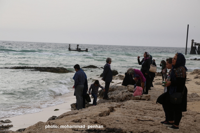 ستاد نوروزی96 8