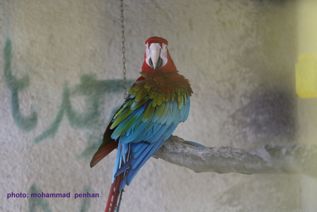 ستاد نوروزی96 45