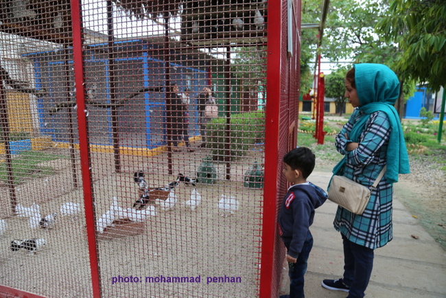 ستاد نوروزی96 46