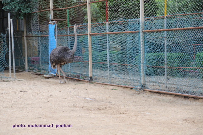 ستاد نوروزی96 47