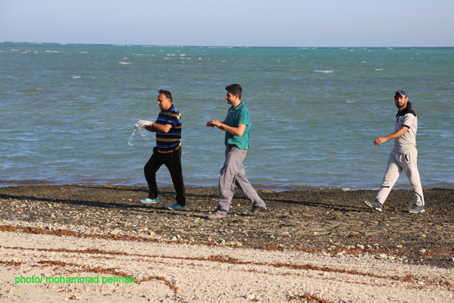 هفته سلامت 36