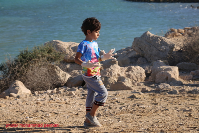 هفته سلامت 51