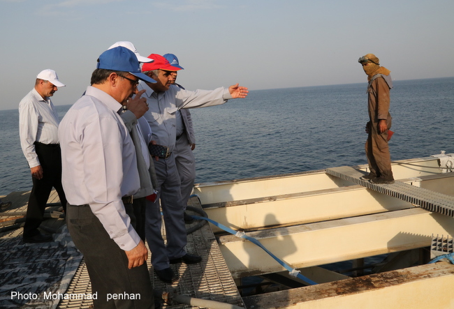 بازدید مدیرعامل 7