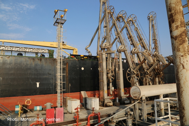 بازدید مدیرعامل 14