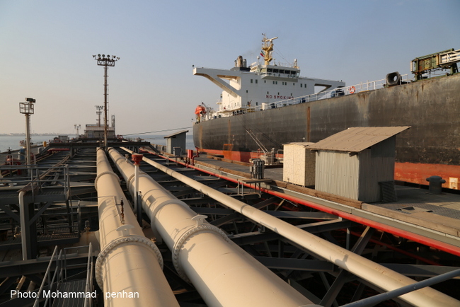 بازدید مدیرعامل 15