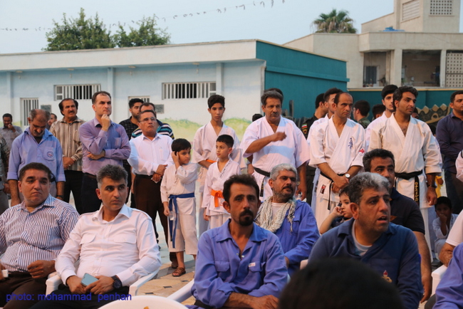 شهید حججی 19