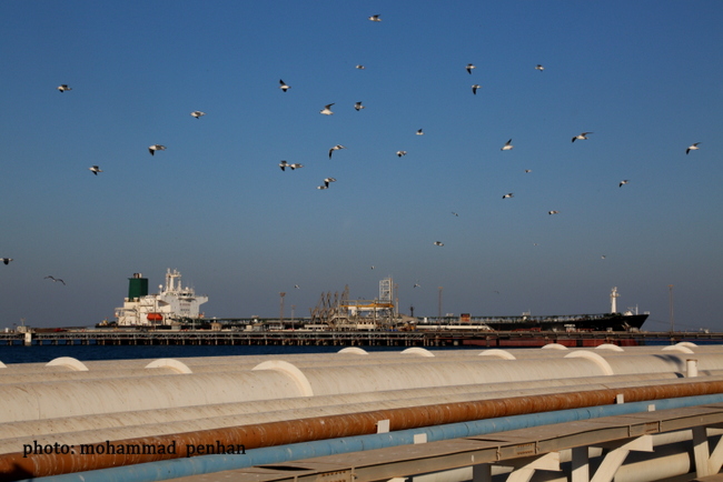 بازدید مدیر تولید 37