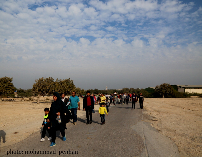 پیاده روی دهه فجر 3