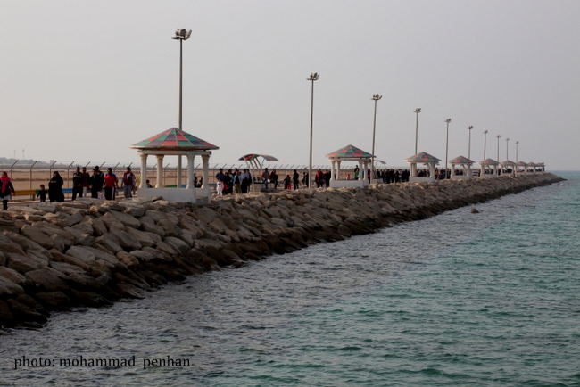 پیاده روی دهه فجر 14