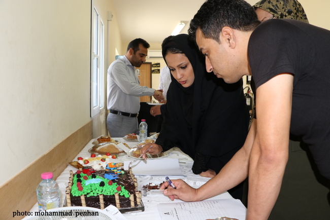 کیک و شیرینی 10