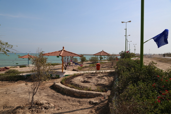 افتتاح پروژه ها 14