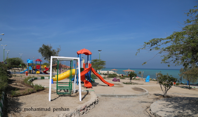 افتتاح پروژه ها 15