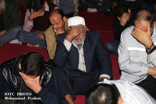 شام غریبان فاطمیون  26