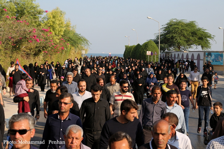 پیاده روی اربعین 4