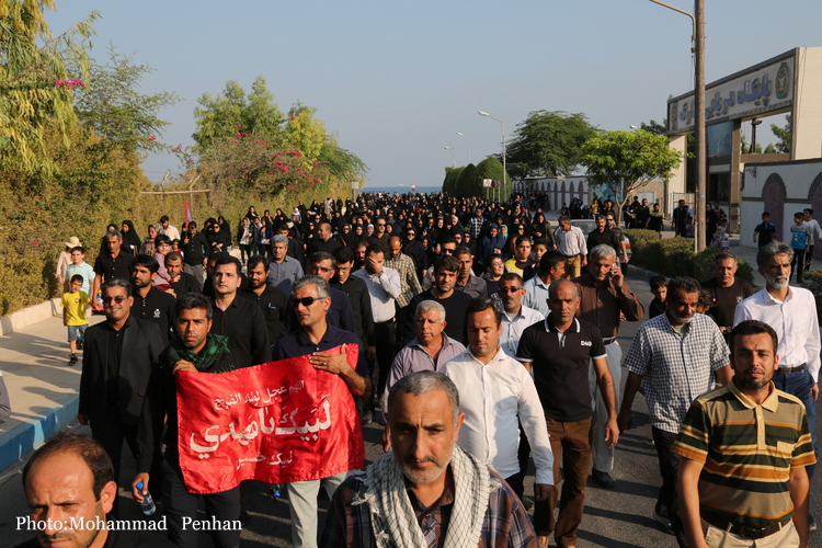 پیاده روی اربعین 5