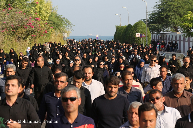 پیاده روی اربعین 6