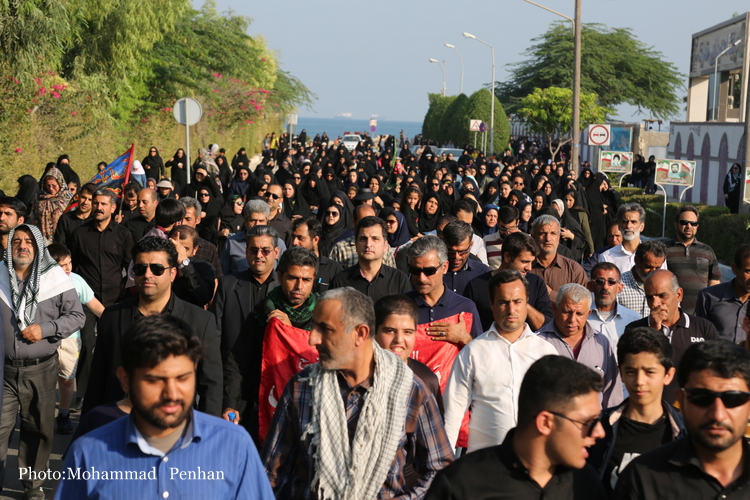 پیاده روی اربعین 8