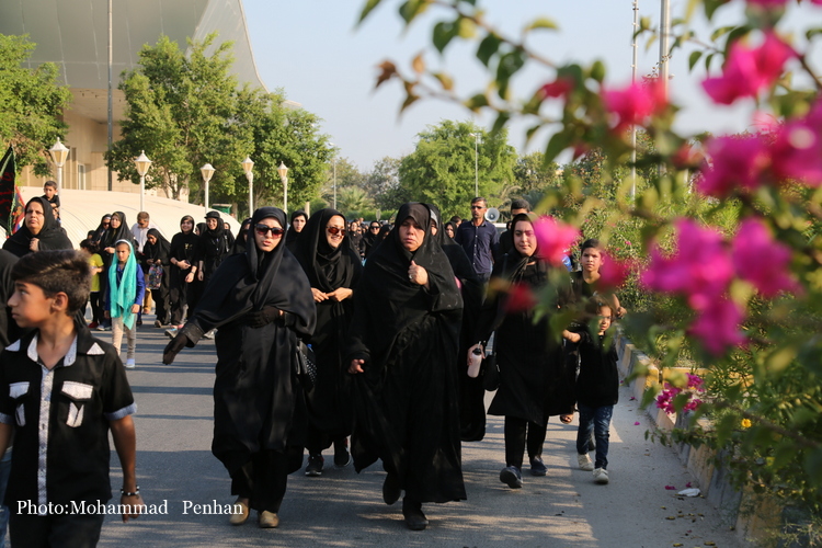 پیاده روی اربعین 12