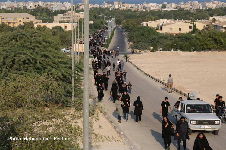 پیاده روی اربعین 26