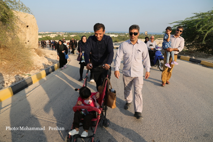 پیاده روی اربعین 28