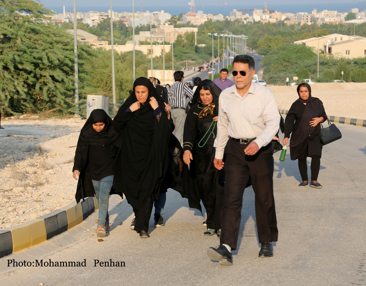 پیاده روی اربعین 33