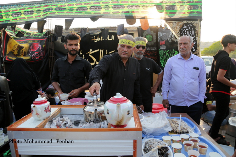 پیاده روی اربعین 35