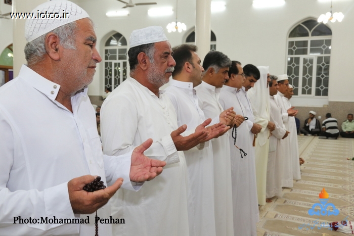 هفته وحدت 50